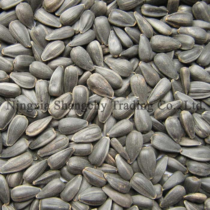 sunflower seeds