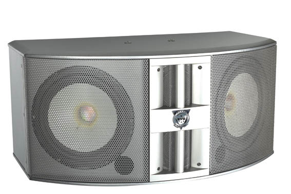 KARAOKE SPEAKER B-800