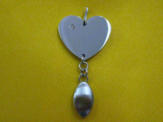 Stainless Steel Pendant