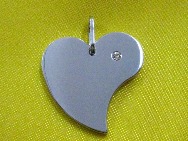 Stainless Steel Pendant