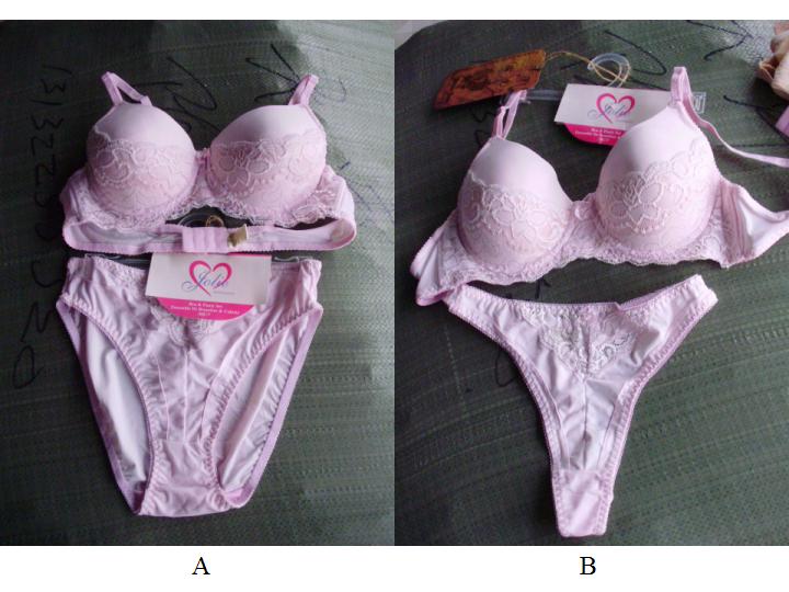 Ladies’ Bra Set