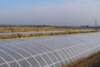 greenhouse sheet