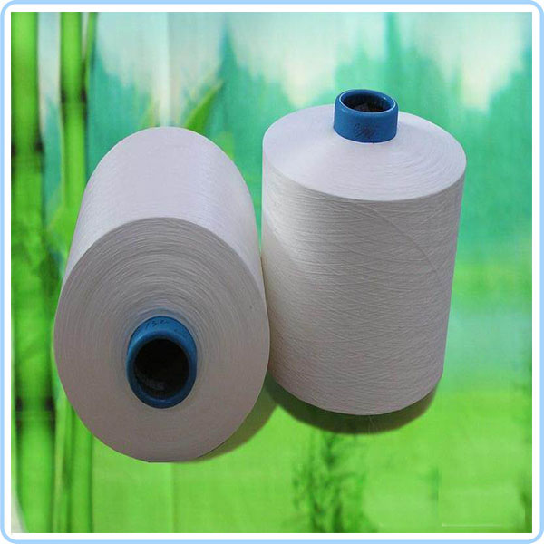 Micro Polyester Nylon DTY Yarn