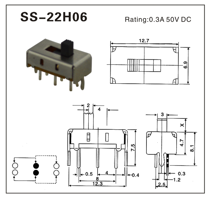 SS-22H06