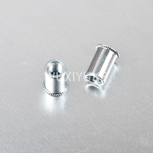 SMALL HEAD  RIVET NUT 