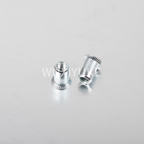 CSK HEAD  RIVET NUT 