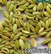 Fennel Seeds