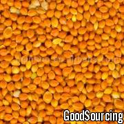 Sell Red Millet In Husk