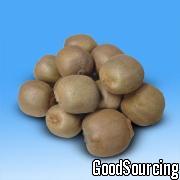 TH-ZH01 Chinese Goosebeery Large-sized Gooseberries with Thin Pericarp and Thick Pulp