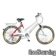 Electric Bicycle