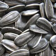 sunflower seeds