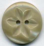 Polyester Button 