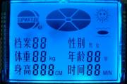 Graphic LCD Module