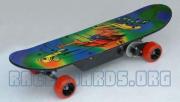 skateboard