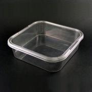 Disposable Plastic Food Container(Lunch Box-Small)