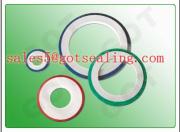 PTFE Envelope Gasket/spiral wound gasket/inconel ring joint gasket