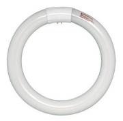 T5(16mm) Circular Fluorescent Lamps - for ECG