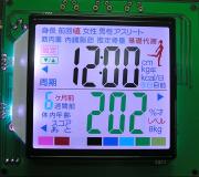 FS LCD Module