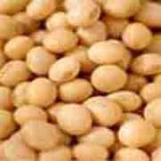 Soybean P.E.  