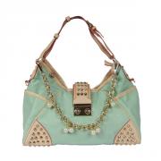 ladies handbag