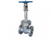 Cryogenic Gate Valve