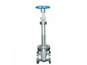 Bellow Gate Valve