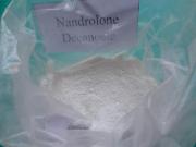 Nandrolone Decanoate