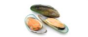 Greenshell™ Mussels