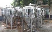  40 bbl stainless steel brewhouse system