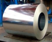 Galvanized Steel Coil