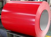 PPGI Steel Coil