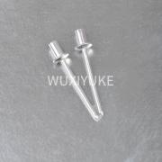 Seal end blind rivet 