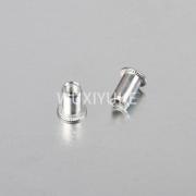 FLAT HEAD RIVET NUT 