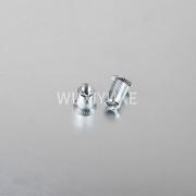 CSK HEAD  RIVET NUT 