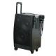 Portable Wireless PA System