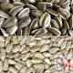 Sunflower Seeds, Hulled Sunflower Seed Kernels