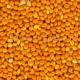 Sell Red Millet In Husk