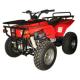 ATV 300cc / All Terrain Vehicle