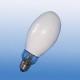 GYZ-160W/277V Fluorescent Self-Ballast Mercury Lamp with Good Photochromism