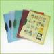 YS279 Colorful Plastic File Holders with Removable Clip