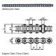 Motorcycle Chain & Engine Chain (Time Chain)