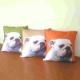 AKC-002 Photo Transfer Printed Cushions with Different Background Colors