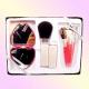 BT99- 0301 Convenient Cosmetic Set Including Five Brushes, A Retractable Mirror in Gift Case