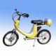 TDL- 30 Excellence-Concentrated Electric Bicycle with Applied Steering Wheel