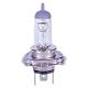 Halogen Bulb