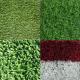 Turf and Artificial Grass