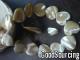 Trocas Shell Accessories