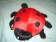 Lady Bug CD holder