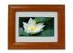 7 inch wooden digital photo frame