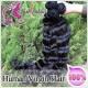 100% Brzailian Virgin Human Hair Weave Loose Wave Weft  